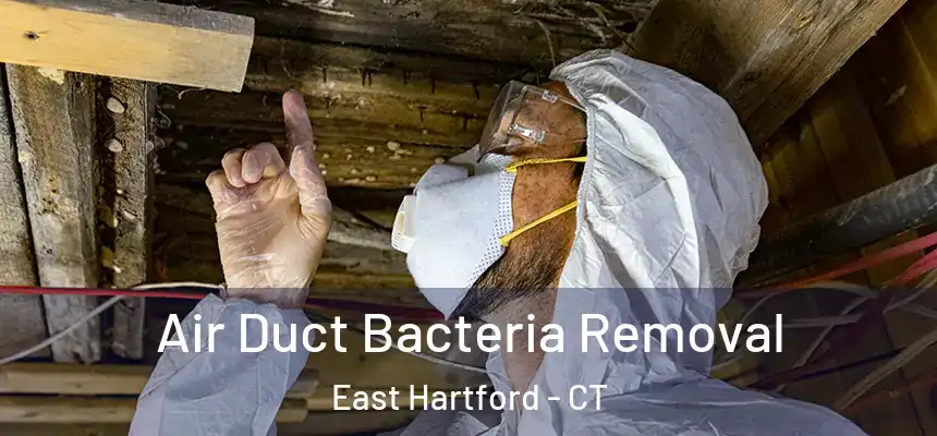  Air Duct Bacteria Removal East Hartford - CT