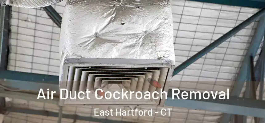  Air Duct Cockroach Removal East Hartford - CT