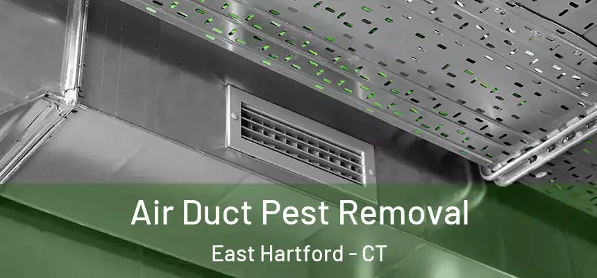  Air Duct Pest Removal East Hartford - CT