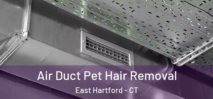  Air Duct Pet Hair Removal East Hartford - CT