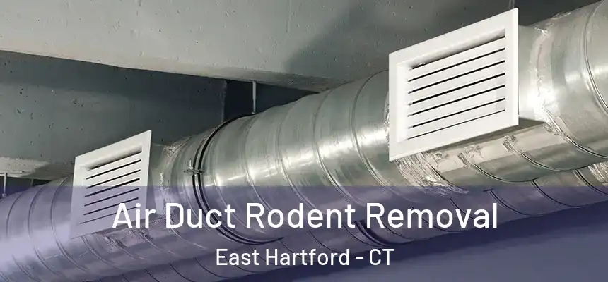  Air Duct Rodent Removal East Hartford - CT