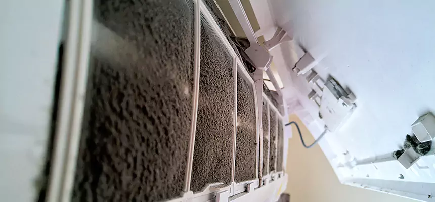 Preventive Air Duct Bacteria Removal in East Hartford