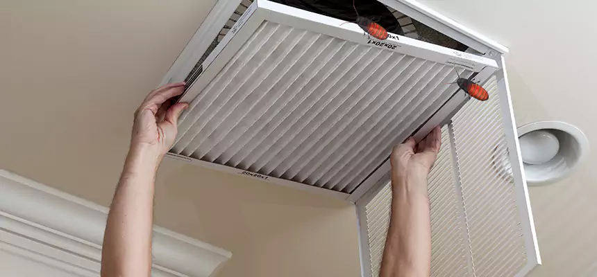 Preventive Cockroach-Proofing for Ducts in East Hartford