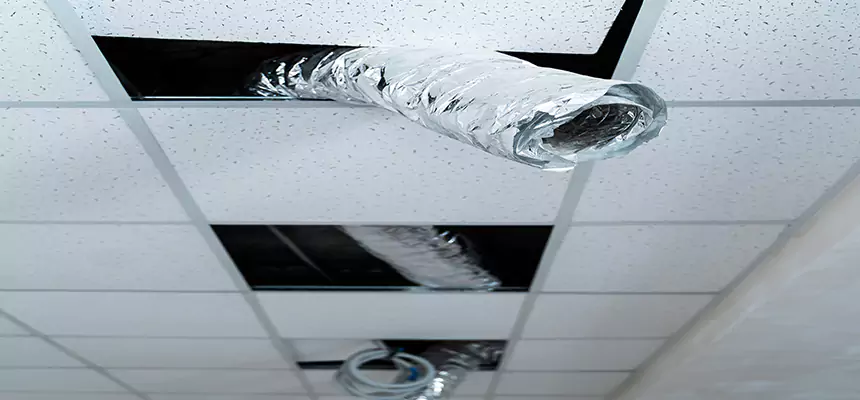 Our Air Duct Pet Hair Removal Services in East Hartford, CT