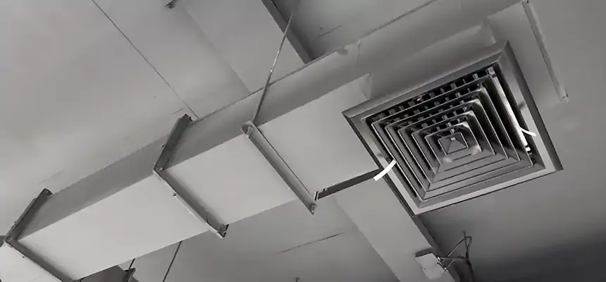 Our Rodent Droppings In Vents Services in East Hartford, CT