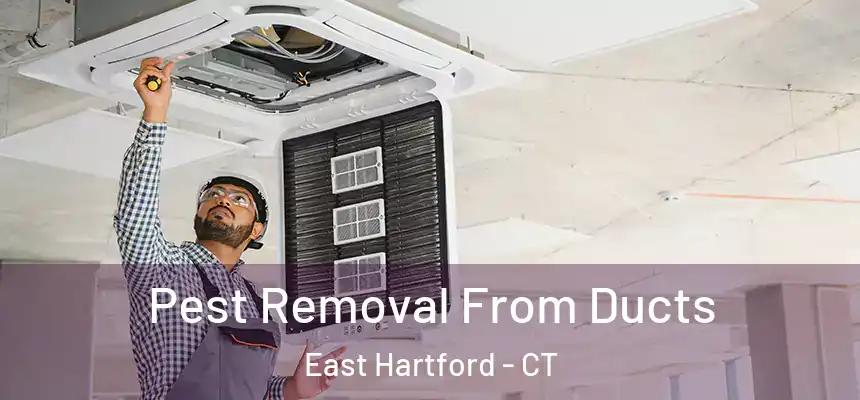  Pest Removal From Ducts East Hartford - CT
