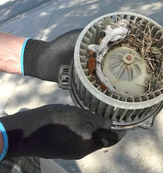 About Air Duct Mice Removal in East Hartford, CT