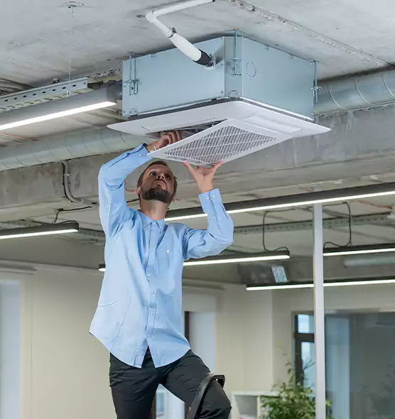 Advanced Rodent Droppings In Vents in East Hartford, CT