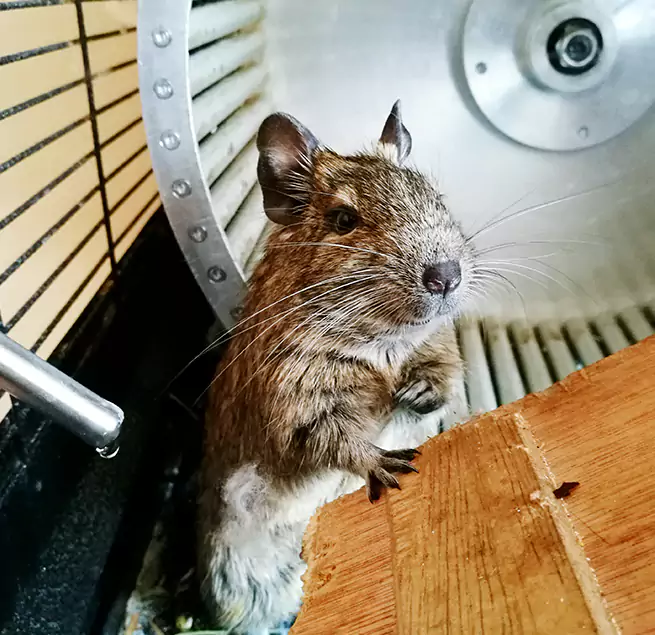 Why Homeowners & Businesses Trust Us East Hartford, CT?