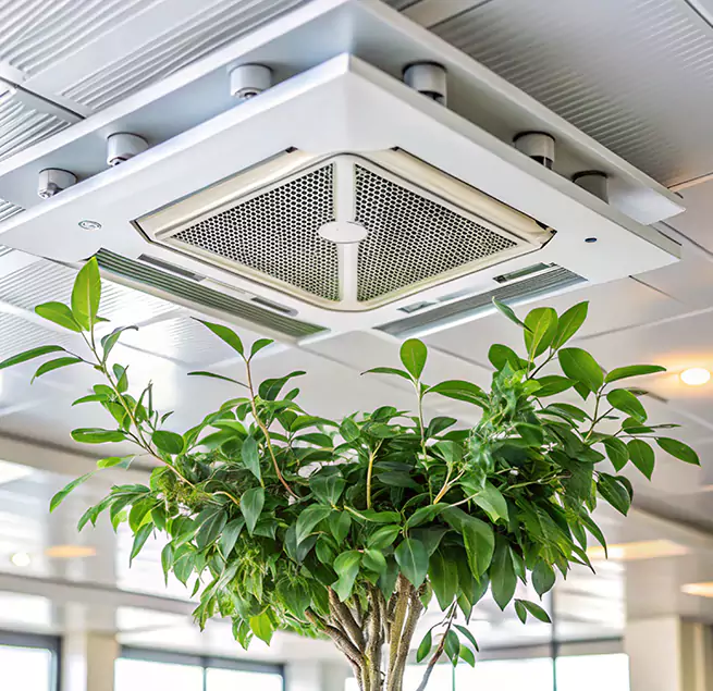 Why Homeowners & Businesses Trust Us in East Hartford, CT?